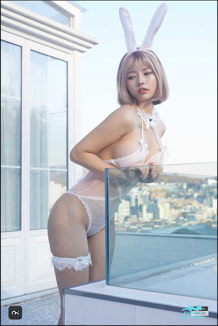 Le LEDG-239A U.hwa 은유화