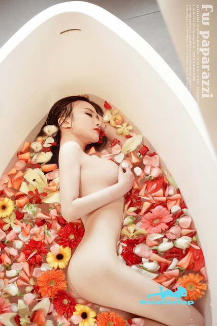 Vietnamese – AOT – No 11
