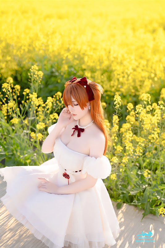 Coser@星之迟迟Hoshilily – EVA 明日香花之语