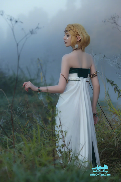 Coser@Vinnegal – Zelda
